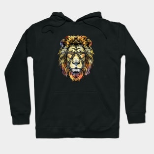 Lion Specs: King of the Cool Cats! Hoodie